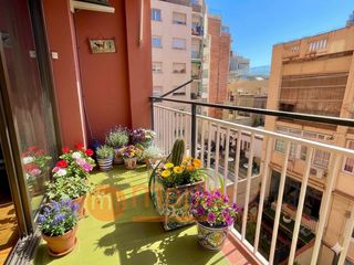 Pis  De la diputació