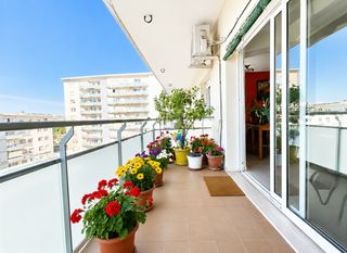 Piso  Ample