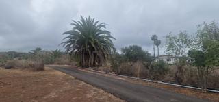 Propriété à Tacoronte - Los Naranjeros. Gran finca rústica con estanque propio.