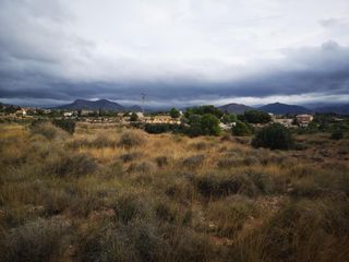 Terreno residenziale in Monòver. ¡solar de 12.000m2 en venta en monover!