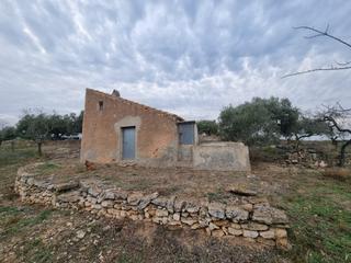 Masia a Perelló (El). Económica finca, con antigua caseta de campo de 25 m2 en el pere