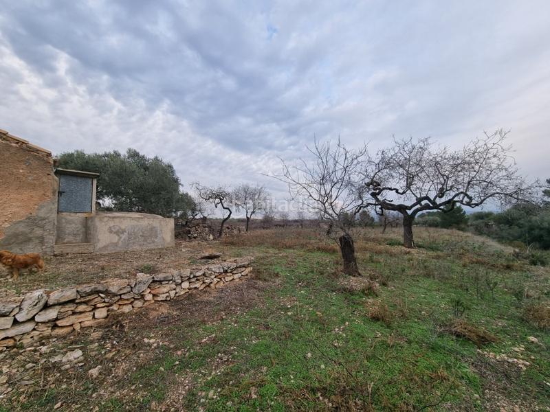 Foto 69479efa-c6ac-4647-85f8-636df46523df. Masia a Perelló (El)