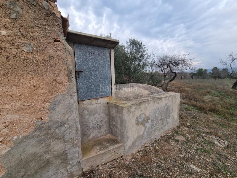 Foto e3e45fc5-5831-4f38-8ed3-9cf8565a3cfe. Masia a Perelló (El)