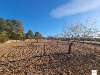 Finca rústica a Perelló (El). Aprovecha esta oportunidad única en el perello!
