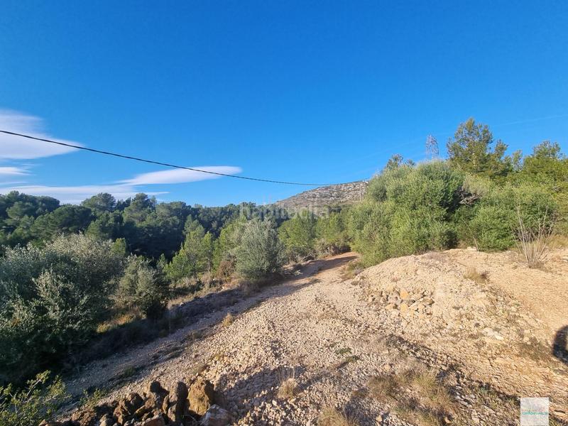 Foto 1fd7c578-b2ae-487d-a9aa-d282a55e19e6. Finca rústica a Perelló (El)