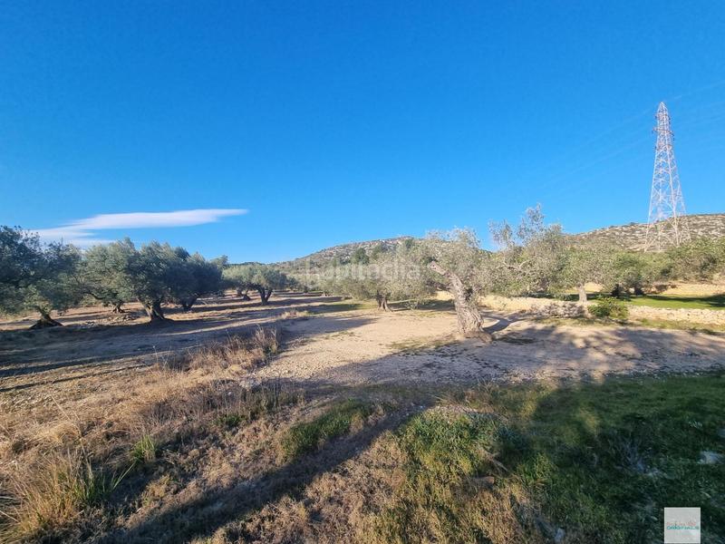 Foto aa02a680-b862-4796-a4ef-4a8e10af4f6e. Finca rústica a Perelló (El)