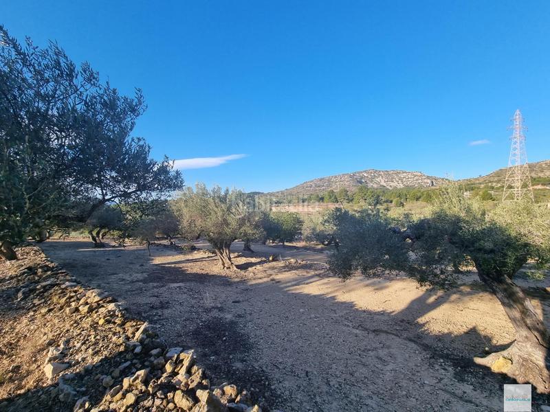 Foto d499d5b5-aa38-45ed-aabc-a8fa486c5213. Finca rústica a Perelló (El)