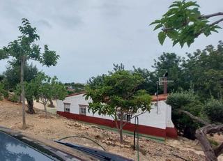 Country house in Ampolla (L´). Disfruta de la tranquilidad en esta finca rústica con jardín y p