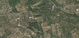 Finca rústica a Vandellòs i l´Hospitalet de l´Infant. Descubre la belleza de la finca rústica con vistas panorámicas e