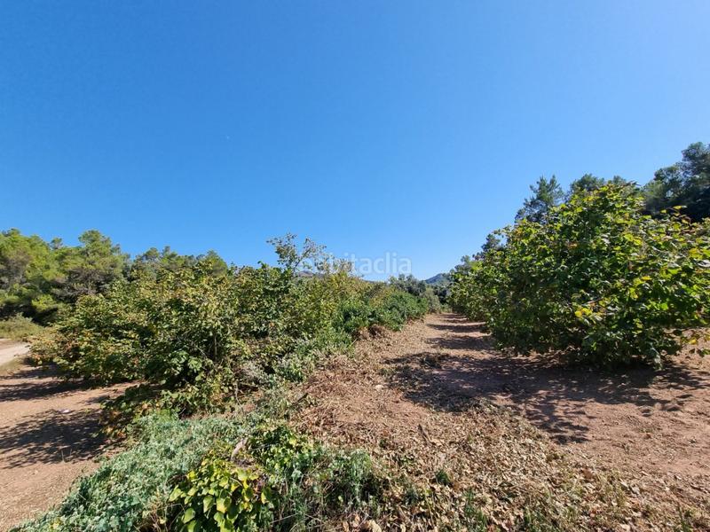 Foto 13afa9c9-fa64-42a3-b929-a21c77d954a6. Propriété dans Tivissa