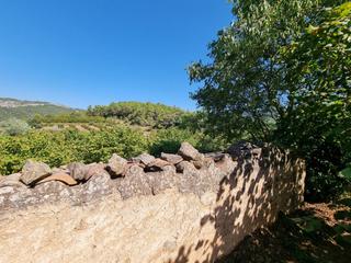 Finca rústica a Tivissa. Fincas rústicas en tivissa con construcción