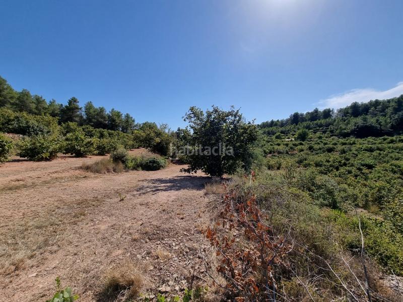 Foto 57b3ce73-3f86-47db-9efb-ceed7e5d66ba. Propriété dans Tivissa