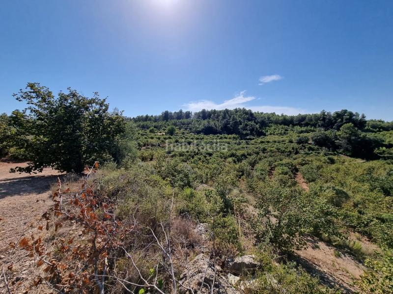 Foto 57e9bba7-53a0-4ede-abd0-90b293cf6fa6. Propriété dans Tivissa