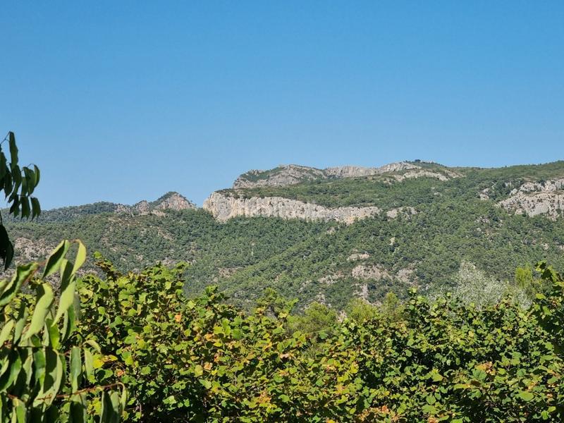 Foto 63d766e4-7ce4-42a9-83ef-d2abc21293eb. Propriété dans Tivissa