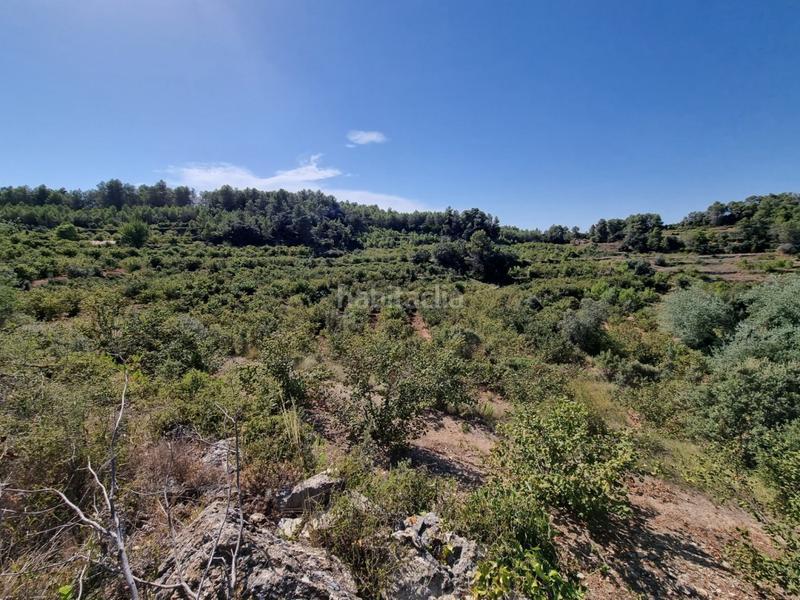 Foto 7b111459-38ec-43f5-82d8-f4dc2b21b4c9. Propriété dans Tivissa