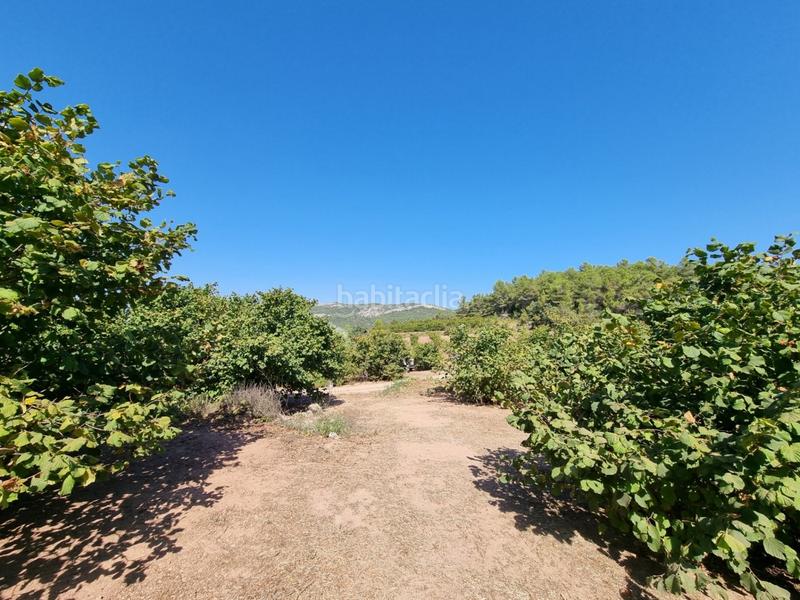 Foto 9ec1fc35-9d1e-40c5-a831-95ca1aff4cfa. Propriété dans Tivissa