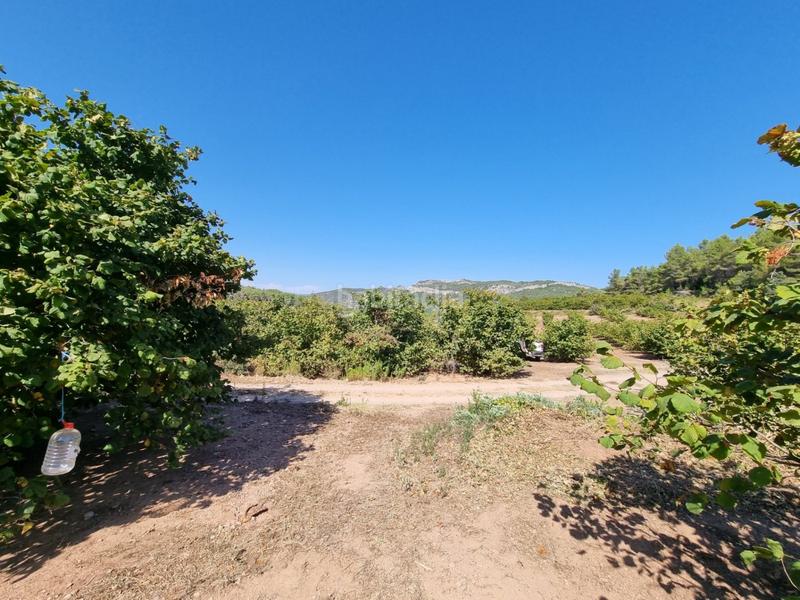 Foto bfb07c62-1742-461d-9ff3-6e68a55d50c0. Propriété dans Tivissa