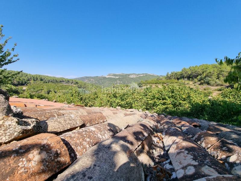 Foto c4cc6d48-7a8e-44e6-a8fd-f708ed6faf60. Propriété dans Tivissa