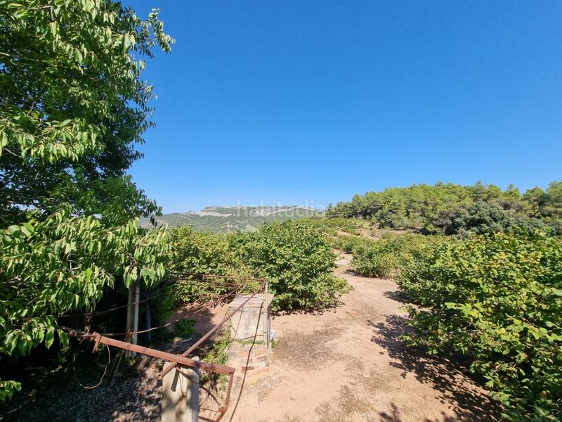 Foto dfd82fb8-94bf-4c21-a14e-18ca5c771f4c. Propriété dans Tivissa