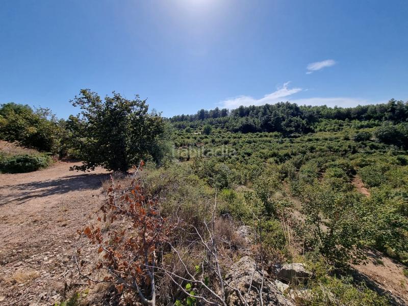 Foto e73d79ca-a7a6-4775-9505-7c28818c6271. Propriété dans Tivissa