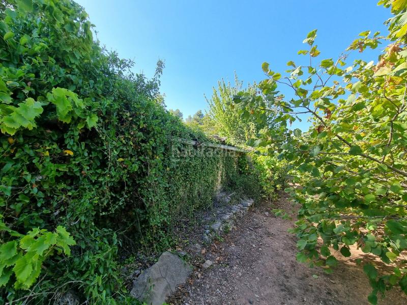 Foto f3a69031-9f85-4f43-bbc5-6669ba53c720. Propriété dans Tivissa