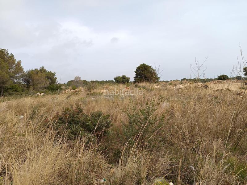 Foto 369da4d4-7d8d-4abb-8917-dc281ad8df38. Terrain résidentiel dans Vandellòs i l´Hospitalet de l´Infant