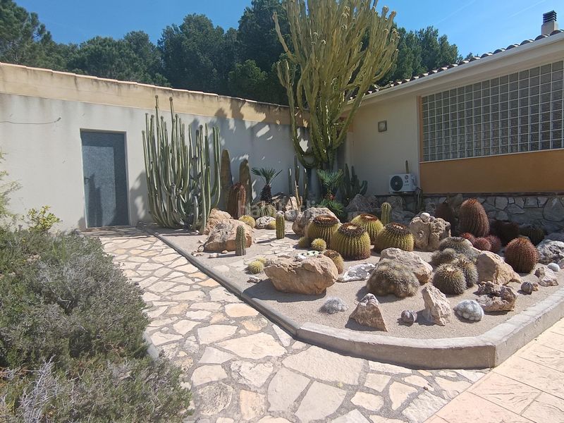 Foto 185ba9be-991a-4f95-ba8f-e3ea2fe954bd. Xalet amb calefacció aparcament piscina a Sant Jordi D´Alfama Ametlla de Mar (L´)