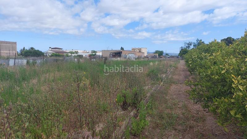 Foto e92b10a7-315a-4733-82a9-807a2a28efd4. Residential plot in Deltebre