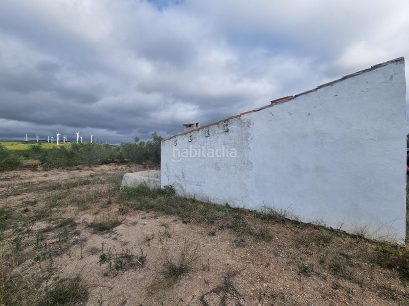 Foto 2559d421-de9f-4ffc-a868-2531e3e53997. Masia a Perelló (El)