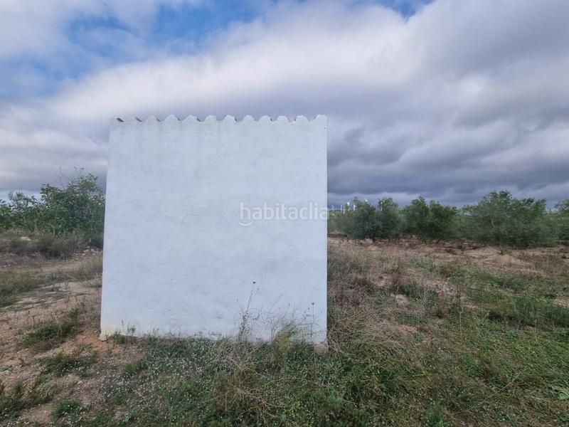 Foto 4c556b1e-4c8c-4140-82fd-a76bc20d9622. Masia a Perelló (El)