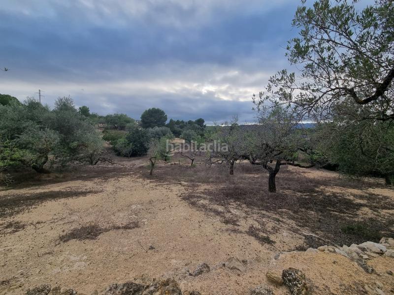 Foto 4f6eebf5-c83a-4082-ab83-e7b900acf17c. Masia a Perelló (El)