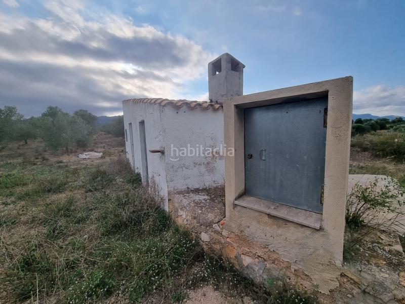 Foto 6549f5d1-7e53-459b-90ea-b3756502b1ef. Masia a Perelló (El)