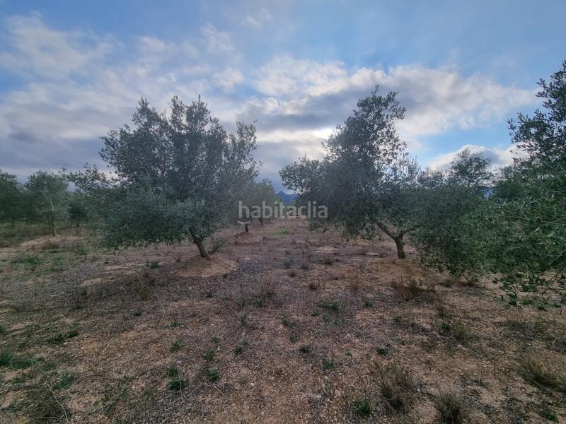 Foto 80946bef-38a8-4081-b0f3-cabf5d46ce9d. Masia a Perelló (El)