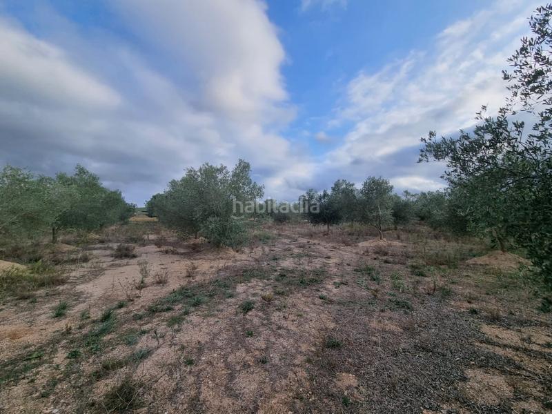 Foto ec8eaabf-8a0b-4423-ba1d-028da8fbdd6e. Masia a Perelló (El)