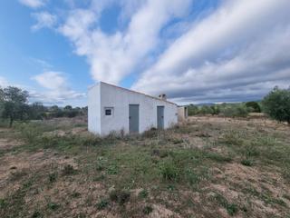 Masia a Perelló (El). Finca rústica con construcción de 57m2 en el perello