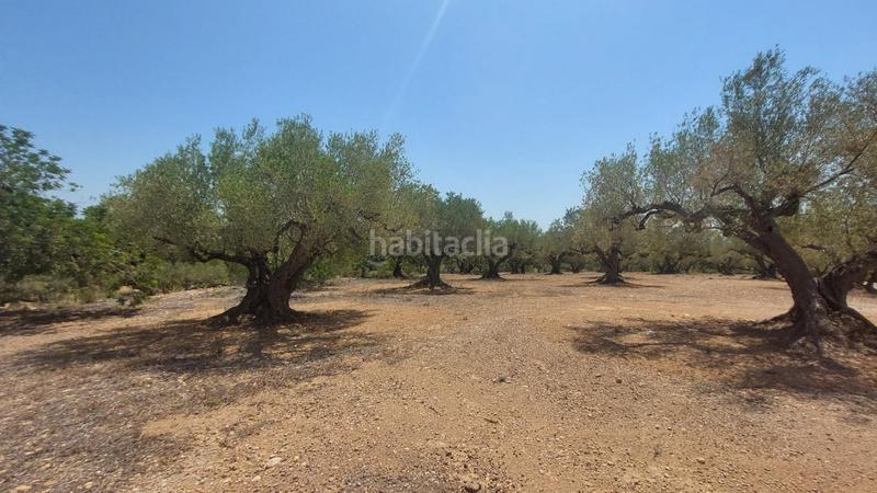 Foto 03cc99df-d24c-4dc0-89b1-ca9ca332b1c6. Masía oportunidad única en lampolla vistas espectaculares al mar, montaña y delta del ebro en Ampolla (L´)
