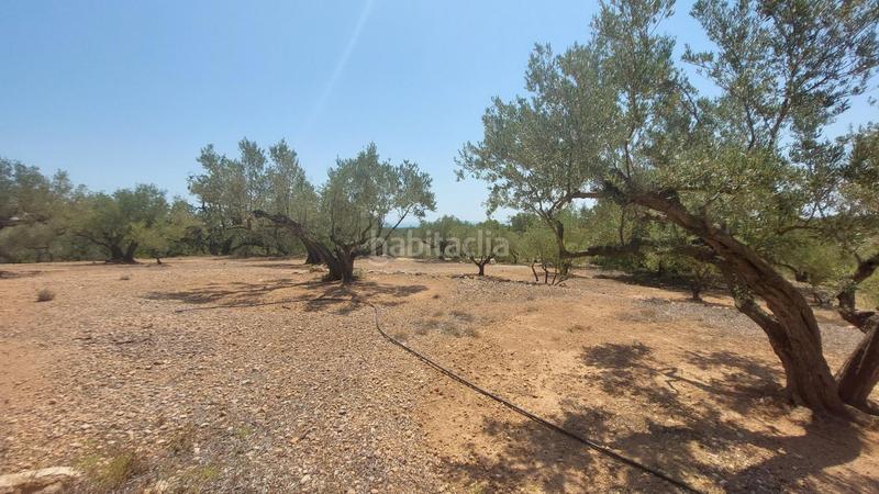Foto 0b5b2cc2-2a1d-40dd-89d9-a7e2d5bfe2ca. Masía oportunidad única en lampolla vistas espectaculares al mar, montaña y delta del ebro en Ampolla (L´)