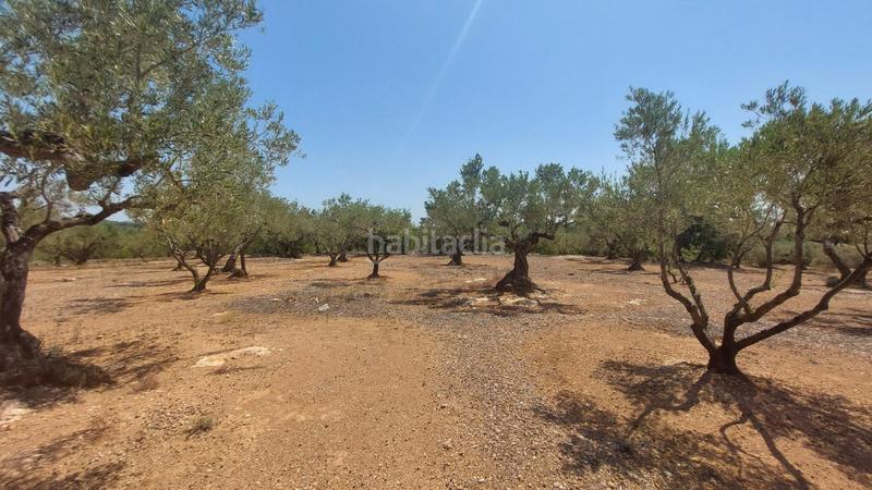 Foto 16955e15-8823-4d14-a240-788be5ab73e0. Masía oportunidad única en lampolla vistas espectaculares al mar, montaña y delta del ebro en Ampolla (L´)