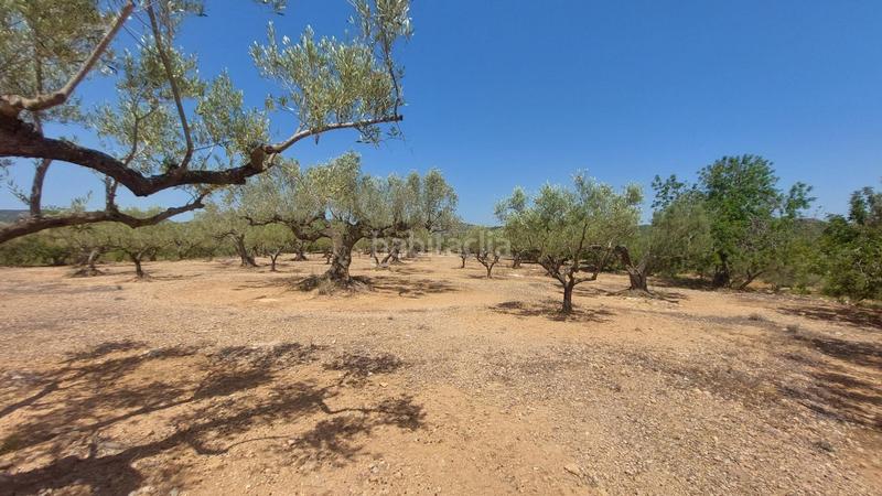 Foto 39588aff-5274-43d1-8bd5-ab1418d9baf6. Masía oportunidad única en lampolla vistas espectaculares al mar, montaña y delta del ebro en Ampolla (L´)