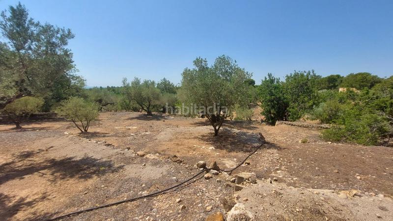 Foto 3fefcc3a-42cd-4268-8f7f-44d64e89e39c. Masía oportunidad única en lampolla vistas espectaculares al mar, montaña y delta del ebro en Ampolla (L´)