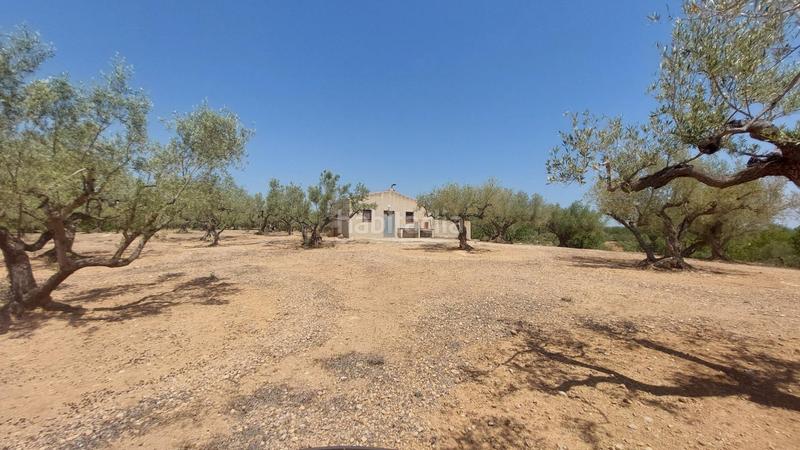 Foto 4e7bd880-7503-4439-8980-297febeacb79. Masía oportunidad única en lampolla vistas espectaculares al mar, montaña y delta del ebro en Ampolla (L´)