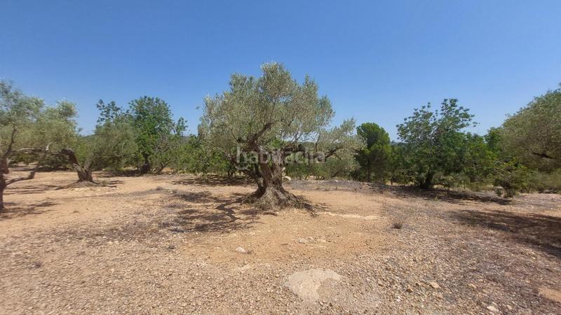 Foto 505f1504-2b9f-4f18-be18-96de1195b5d8. Masía oportunidad única en lampolla vistas espectaculares al mar, montaña y delta del ebro en Ampolla (L´)