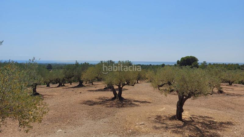 Foto 590f7336-8764-4616-8fc5-d8c6f5341f87. Masía oportunidad única en lampolla vistas espectaculares al mar, montaña y delta del ebro en Ampolla (L´)