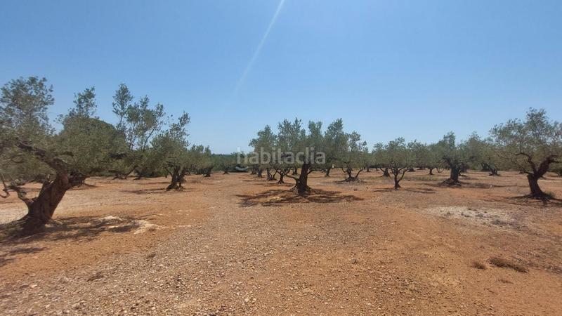Foto 773dbd6b-eecf-44ec-a128-9b470f68590d. Masía oportunidad única en lampolla vistas espectaculares al mar, montaña y delta del ebro en Ampolla (L´)