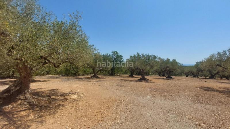 Foto 7b1167b0-b32b-4bea-b1a0-3aa137552290. Masía oportunidad única en lampolla vistas espectaculares al mar, montaña y delta del ebro en Ampolla (L´)