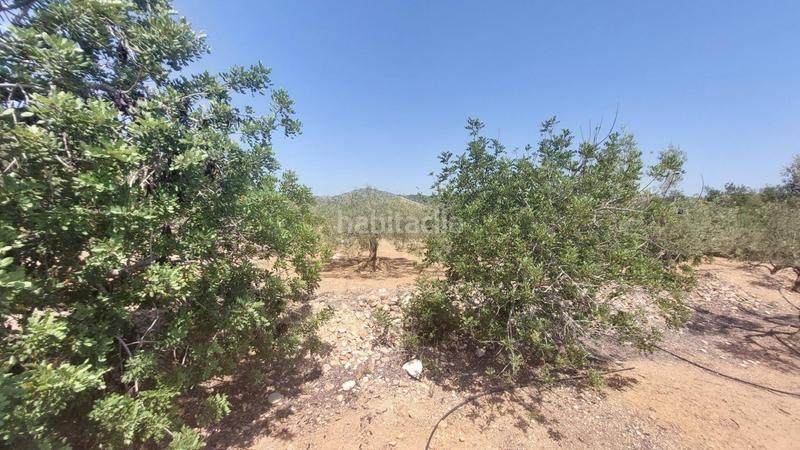 Foto 7f301454-50fb-4833-96de-c7935e17e237. Masía oportunidad única en lampolla vistas espectaculares al mar, montaña y delta del ebro en Ampolla (L´)