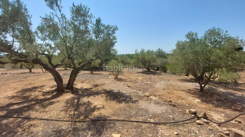 Foto 8f148788-23cd-41d9-a005-edcdced117e2. Masía oportunidad única en lampolla vistas espectaculares al mar, montaña y delta del ebro en Ampolla (L´)