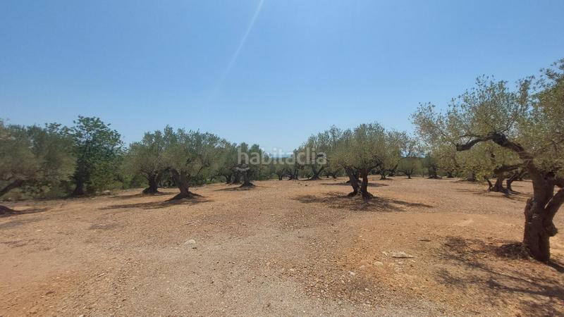 Foto adecbed6-eb4c-4ddd-8acf-7d46e63caae8. Masía oportunidad única en lampolla vistas espectaculares al mar, montaña y delta del ebro en Ampolla (L´)