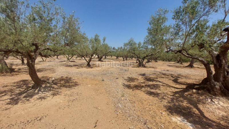 Foto c3b4f6f2-7158-4f51-8e29-50fe10792f81. Masía oportunidad única en lampolla vistas espectaculares al mar, montaña y delta del ebro en Ampolla (L´)