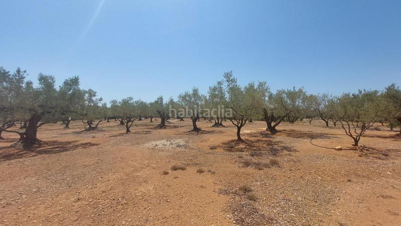 Foto d02ea69a-a44f-49c9-9ed9-9e8233631817. Masía oportunidad única en lampolla vistas espectaculares al mar, montaña y delta del ebro en Ampolla (L´)